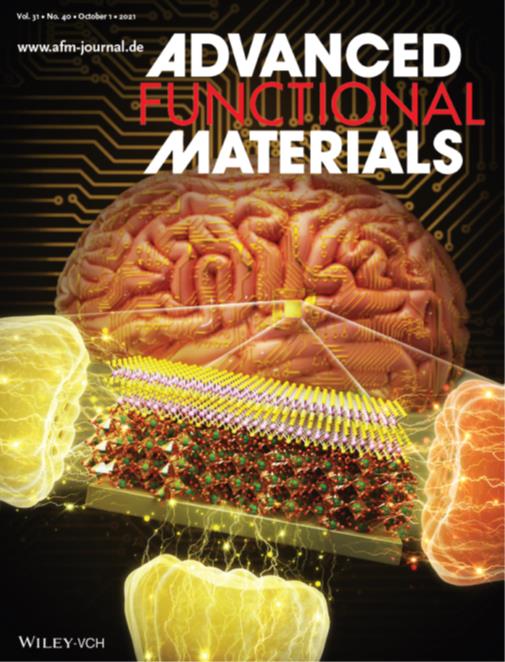 어드밴스트 펑셔널 머티리얼즈誌(Advanced Functional Materials) 10월호 표지논문 사진 Ⓒ한국재료연구원